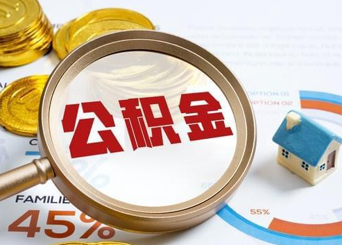 肇庆2025年政策调整对个人影响综合解析‌